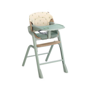 Noah 2 – De trona a silla, años de acompañamiento