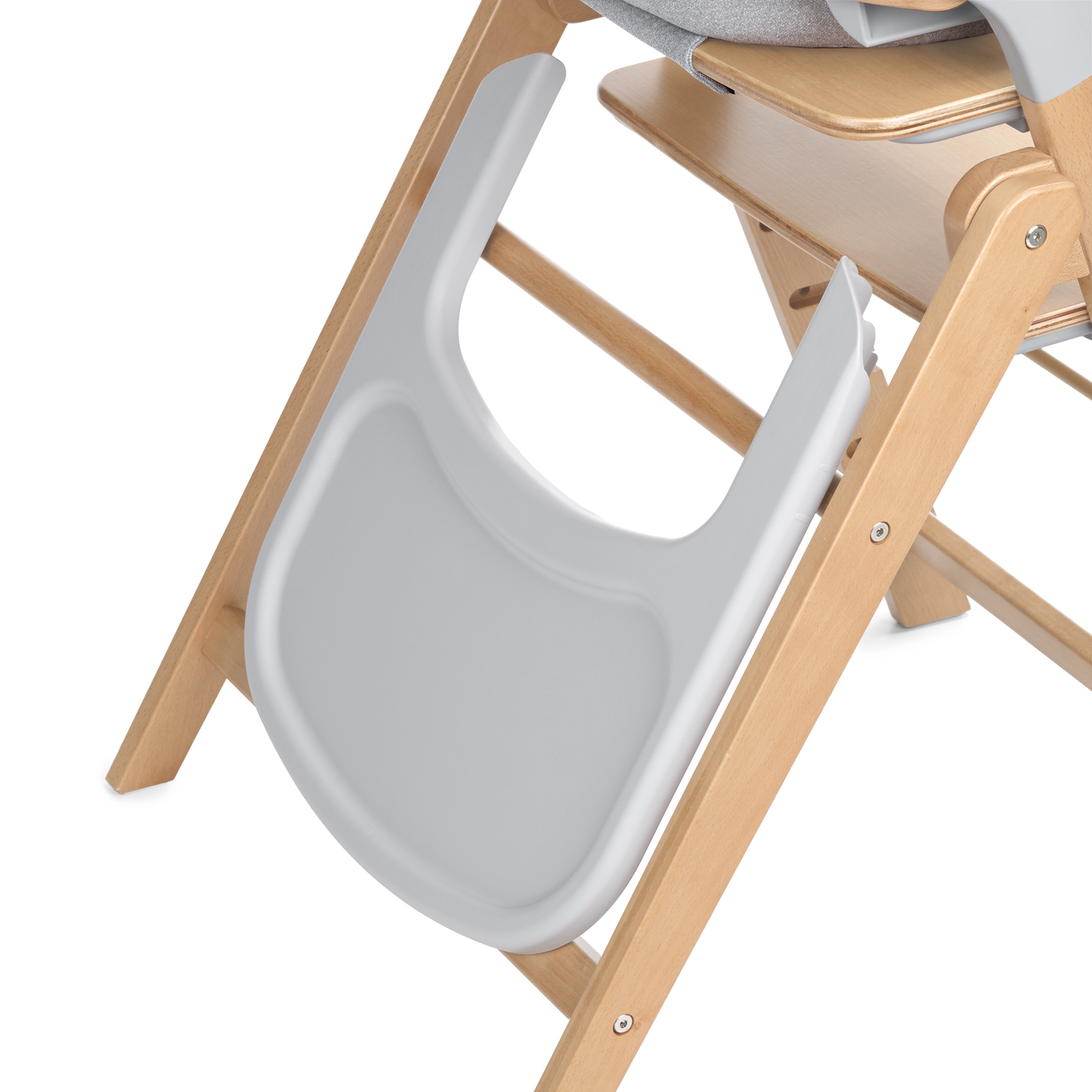 6221_U90_forest_mist_07