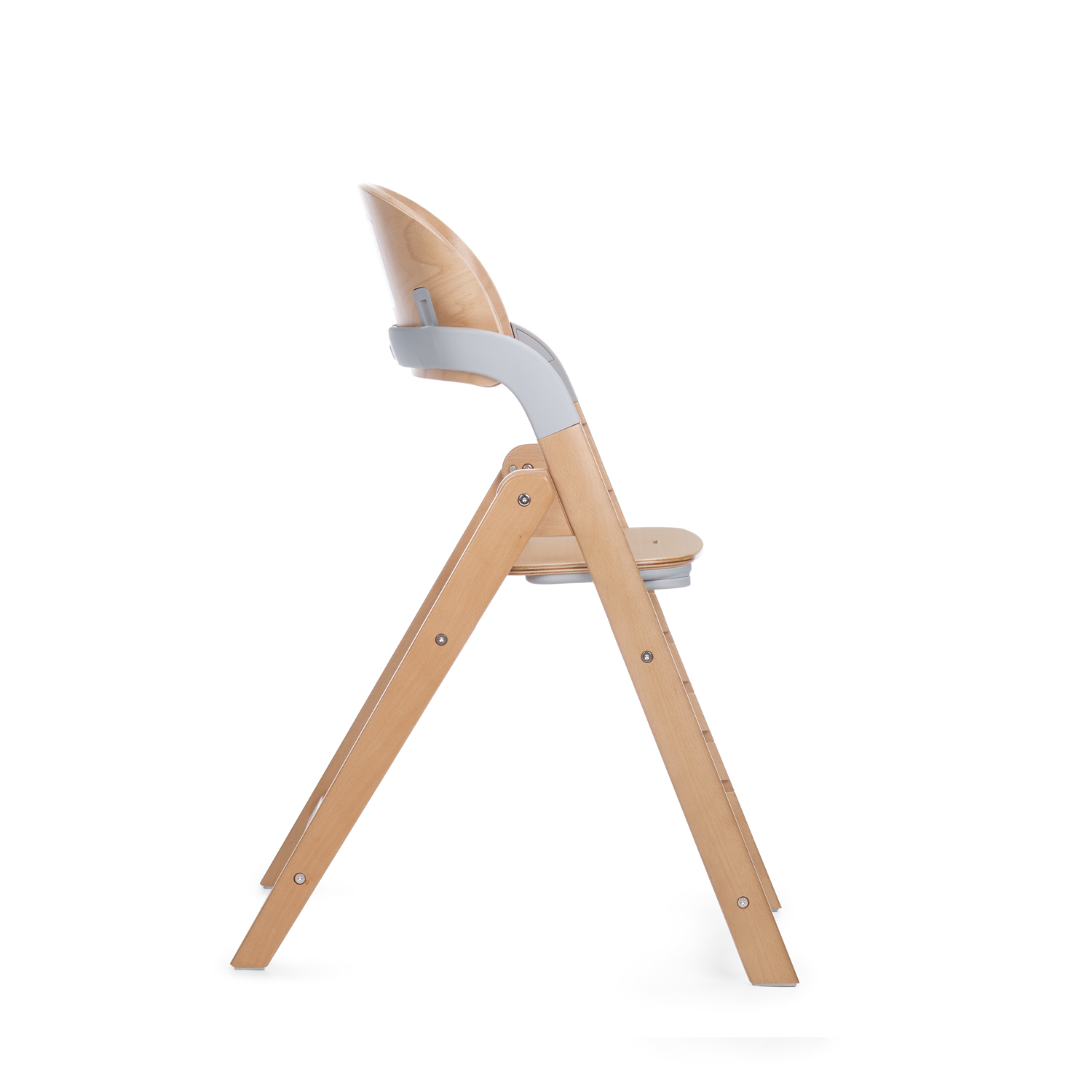 6221_U90_forest_mist_12