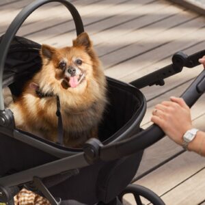 Capazo para mascotas Anex Modu